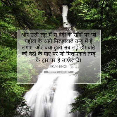 Picture 07 - लैव्यव्यवस्था 4:18 HINIRV - और उसी लहू में से - Bible Verse Picture