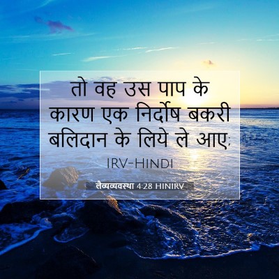 Picture 07 - लैव्यव्यवस्था 4:28 HINIRV - तो वह उस पाप के - Bible Verse Picture