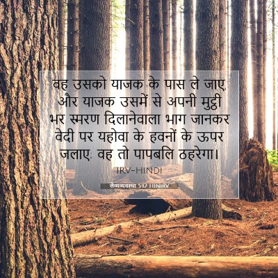 Picture 07 - लैव्यव्यवस्था 5:12 HINIRV - वह उसको याजक के पास - Bible Verse Picture
