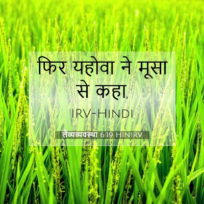 Picture 07 - लैव्यव्यवस्था 6:19 HINIRV - फिर यहोवा ने मूसा - Bible Verse Picture