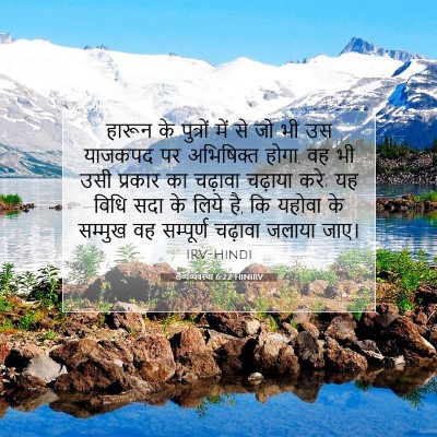 Picture 07 - लैव्यव्यवस्था 6:22 HINIRV - हारून के पुत्रों - Bible Verse Picture