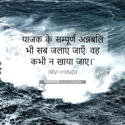Picture 07 - लैव्यव्यवस्था 6:23 HINIRV - याजक के सम्पूर्ण - Bible Verse Picture