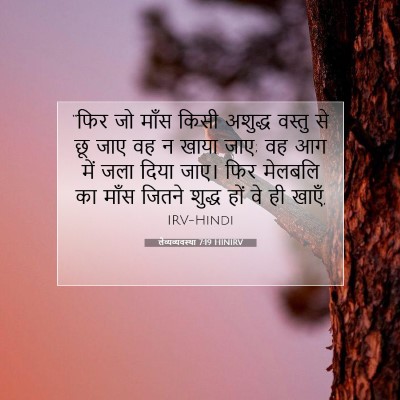 Picture 07 - लैव्यव्यवस्था 7:19 HINIRV - “फिर जो माँस किसी - Bible Verse Picture