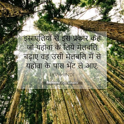 Picture 07 - लैव्यव्यवस्था 7:29 HINIRV - “इस्राएलियों से - Bible Verse Picture