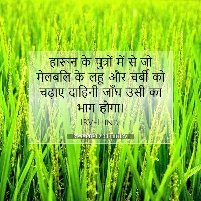 Picture 07 - लैव्यव्यवस्था 7:33 HINIRV - हारून के पुत्रों - Bible Verse Picture