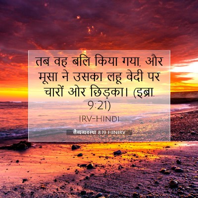 Picture 07 - लैव्यव्यवस्था 8:19 HINIRV - तब वह बलि किया गया, - Bible Verse Picture