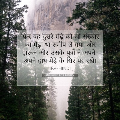 Picture 07 - लैव्यव्यवस्था 8:22 HINIRV - फिर वह दूसरे मेढ़े - Bible Verse Picture
