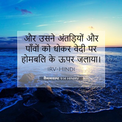Picture 07 - लैव्यव्यवस्था 9:14 HINIRV - और उसने अंतड़ियों - Bible Verse Picture