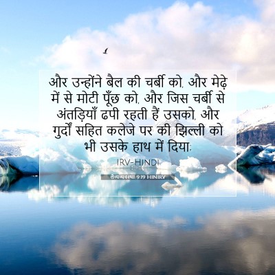 Picture 07 - लैव्यव्यवस्था 9:19 HINIRV - और उन्होंने बैल की - Bible Verse Picture