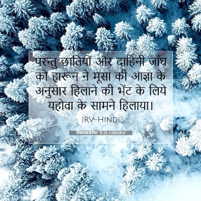 Picture 07 - लैव्यव्यवस्था 9:21 HINIRV - परन्तु छातियों और - Bible Verse Picture