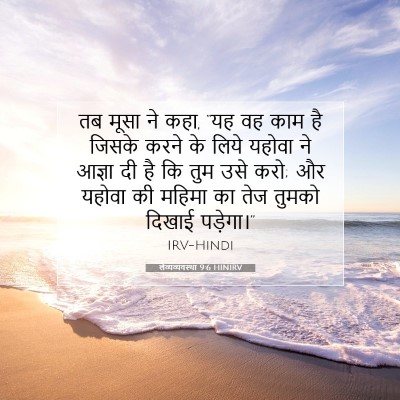 Picture 07 - लैव्यव्यवस्था 9:6 HINIRV - तब मूसा ने कहा, “यह - Bible Verse Picture