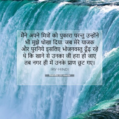 Picture 07 - विलापगीत 1:19 HINIRV - मैंने अपने - Bible Verse Picture