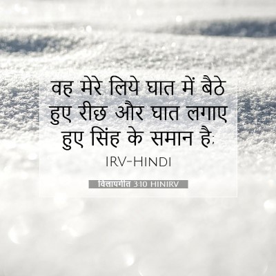 Picture 07 - विलापगीत 3:10 HINIRV - वह मेरे लिये घात - Bible Verse Picture