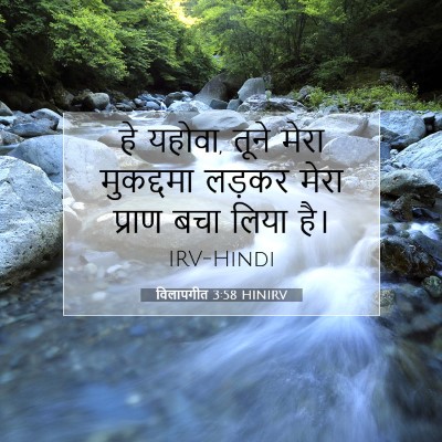 Picture 07 - विलापगीत 3:58 HINIRV - हे यहोवा, तूने मेरा - Bible Verse Picture