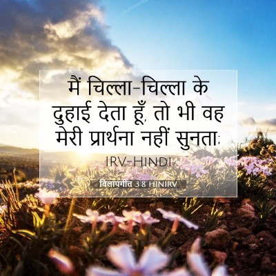 Picture 07 - विलापगीत 3:8 HINIRV - मैं चिल्ला-चिल्ला - Bible Verse Picture