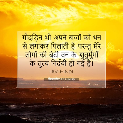 Picture 07 - विलापगीत 4:3 HINIRV - गीदड़िन भी अपने - Bible Verse Picture