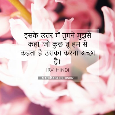 Picture 07 - व्यवस्थाविवरण 1:14 HINIRV - इसके उत्तर में - Bible Verse Picture