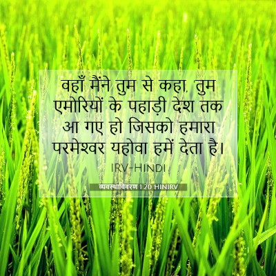Picture 07 - व्यवस्थाविवरण 1:20 HINIRV - वहाँ मैंने तुम से - Bible Verse Picture