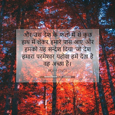 Picture 07 - व्यवस्थाविवरण 1:25 HINIRV - और उस देश के फलों - Bible Verse Picture