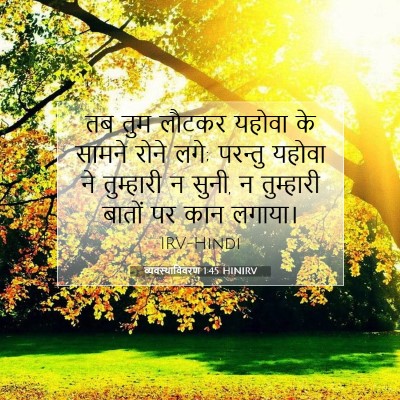 Picture 07 - व्यवस्थाविवरण 1:45 HINIRV - तब तुम लौटकर यहोवा - Bible Verse Picture