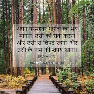 Picture 07 - व्यवस्थाविवरण 10:20 HINIRV - अपने परमेश्‍वर - Bible Verse Picture