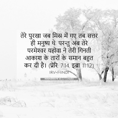 Picture 07 - व्यवस्थाविवरण 10:22 HINIRV - तेरे पुरखा जब - Bible Verse Picture