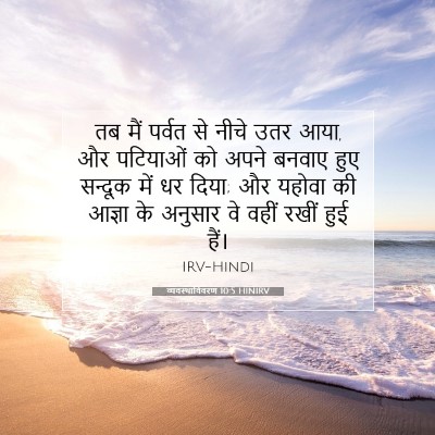 Picture 07 - व्यवस्थाविवरण 10:5 HINIRV - तब मैं पर्वत से - Bible Verse Picture