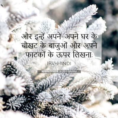 Picture 07 - व्यवस्थाविवरण 11:20 HINIRV - और इन्हें - Bible Verse Picture