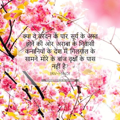 Picture 07 - व्यवस्थाविवरण 11:30 HINIRV - क्या वे यरदन के - Bible Verse Picture
