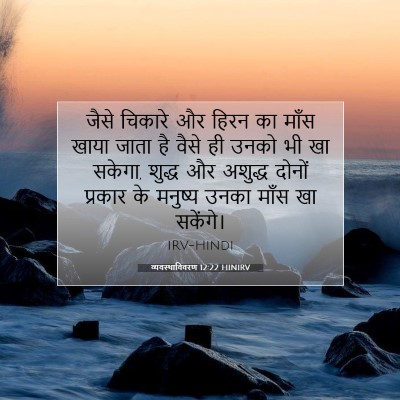 Picture 07 - व्यवस्थाविवरण 12:22 HINIRV - जैसे चिकारे और - Bible Verse Picture