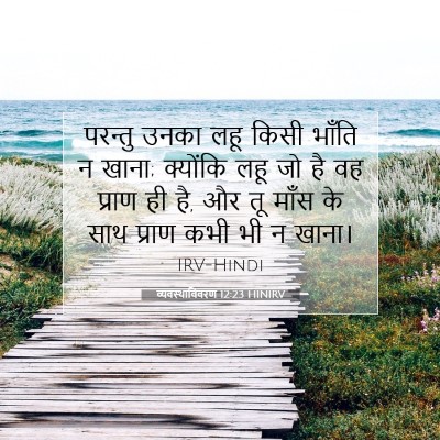 Picture 07 - व्यवस्थाविवरण 12:23 HINIRV - परन्तु उनका लहू - Bible Verse Picture