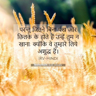 Picture 07 - व्यवस्थाविवरण 14:10 HINIRV - परन्तु जितने बिना - Bible Verse Picture