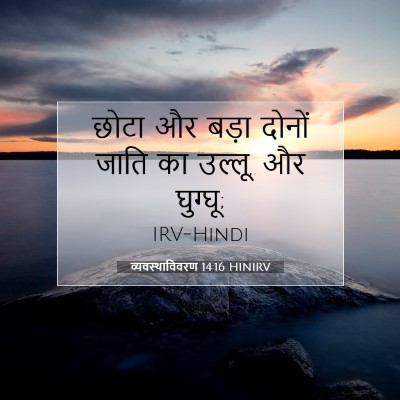 Picture 07 - व्यवस्थाविवरण 14:16 HINIRV - छोटा और बड़ा दोनों - Bible Verse Picture