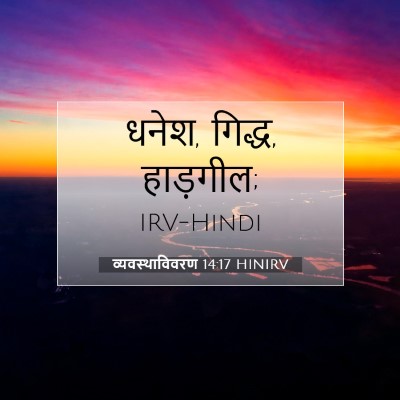 Picture 07 - व्यवस्थाविवरण 14:17 HINIRV - धनेश, गिद्ध, - Bible Verse Picture