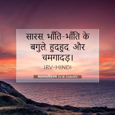 Picture 07 - व्यवस्थाविवरण 14:18 HINIRV - सारस, भाँति-भाँति - Bible Verse Picture