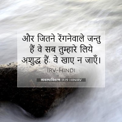 Picture 07 - व्यवस्थाविवरण 14:19 HINIRV - और जितने - Bible Verse Picture