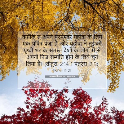 Picture 07 - व्यवस्थाविवरण 14:2 HINIRV - क्योंकि तू अपने - Bible Verse Picture