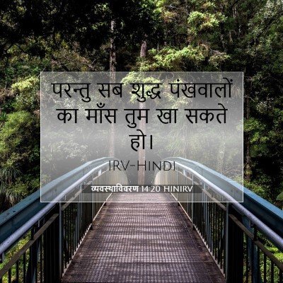 Picture 07 - व्यवस्थाविवरण 14:20 HINIRV - परन्तु सब शुद्ध - Bible Verse Picture