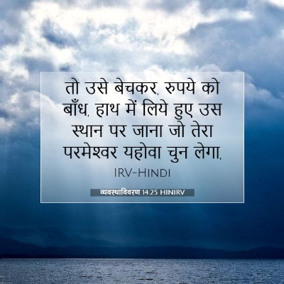 Picture 07 - व्यवस्थाविवरण 14:25 HINIRV - तो उसे बेचकर, रुपये - Bible Verse Picture