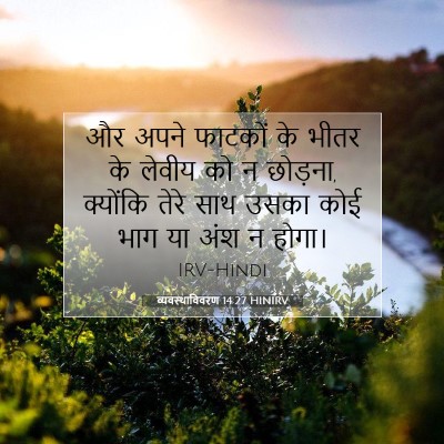 Picture 07 - व्यवस्थाविवरण 14:27 HINIRV - और अपने फाटकों के - Bible Verse Picture