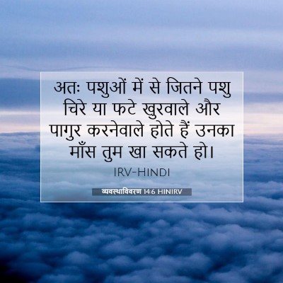 Picture 07 - व्यवस्थाविवरण 14:6 HINIRV - अतः पशुओं में से - Bible Verse Picture