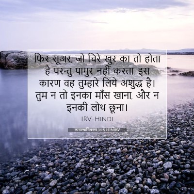 Picture 07 - व्यवस्थाविवरण 14:8 HINIRV - फिर सूअर, जो चिरे - Bible Verse Picture