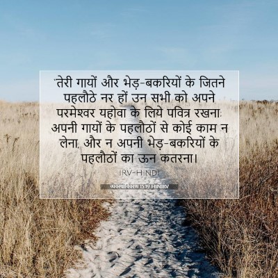 Picture 07 - व्यवस्थाविवरण 15:19 HINIRV - “तेरी गायों और - Bible Verse Picture