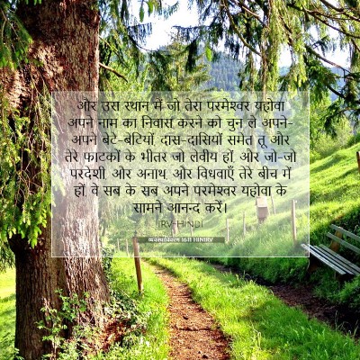 Picture 07 - व्यवस्थाविवरण 16:11 HINIRV - और उस स्थान में जो - Bible Verse Picture