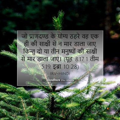 Picture 07 - व्यवस्थाविवरण 17:6 HINIRV - जो प्राणदण्ड के - Bible Verse Picture
