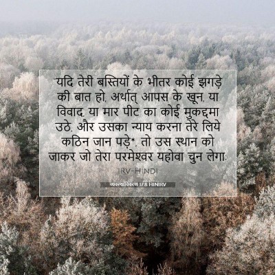 Picture 07 - व्यवस्थाविवरण 17:8 HINIRV - “यदि तेरी - Bible Verse Picture