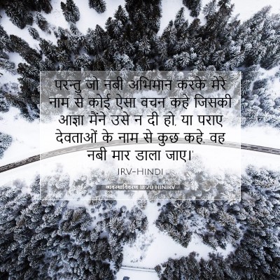 Picture 07 - व्यवस्थाविवरण 18:20 HINIRV - परन्तु जो नबी - Bible Verse Picture