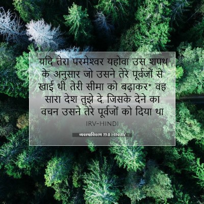 Picture 07 - व्यवस्थाविवरण 19:8 HINIRV - “यदि तेरा - Bible Verse Picture