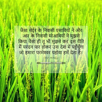 Picture 07 - व्यवस्थाविवरण 2:29 HINIRV - जैसा सेईर के - Bible Verse Picture
