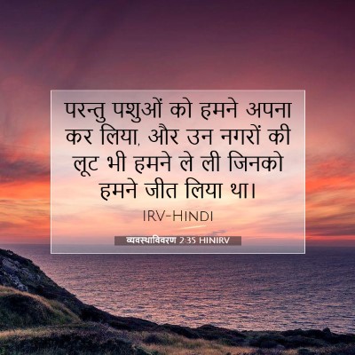 Picture 07 - व्यवस्थाविवरण 2:35 HINIRV - परन्तु पशुओं को - Bible Verse Picture
